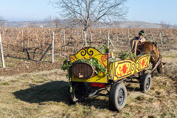 Pruning of the vineyards ritual in Bulgaria stock photo
