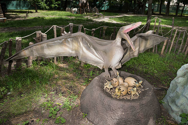 Pterodactyl Stock Photos, Pictures & Royalty-Free Images - iStock