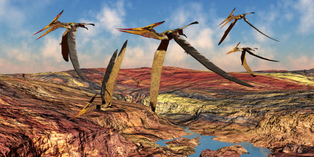 Pteranodon Reptile Flock stock photo