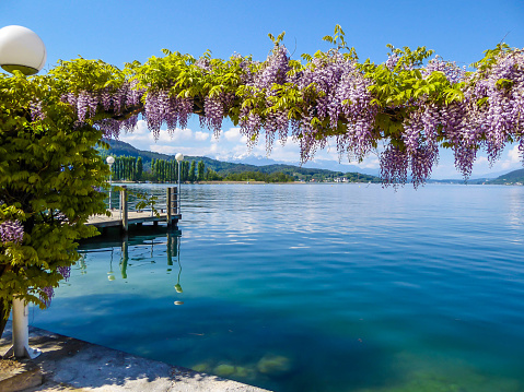 Pötschach - A flower girland hanging over the lake