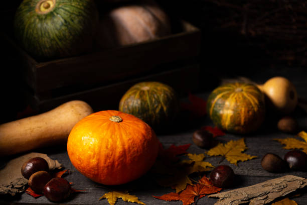 Pumpkin, butternut and chestnuts on a dark vintage wood background with autumn colored leaves and bark pieces. Chiaroscuro light. stock photo