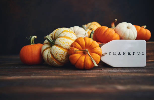 Pumpkin Collection with Thankful Message for Thanksgiving. Fall Background Pumpkin Collection with Thankful Message for Thanksgiving. Fall Background centerpiece stock pictures, royalty-free photos & images