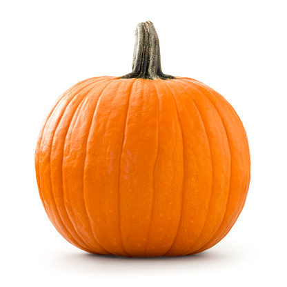Large pumpkin photographed over white background.