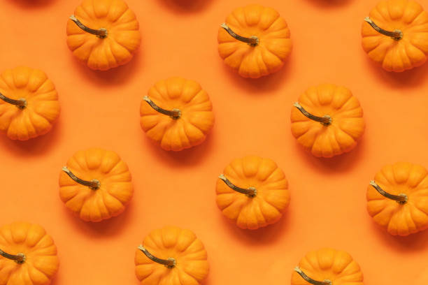 Pumpkins flat lay on orange background stock photo