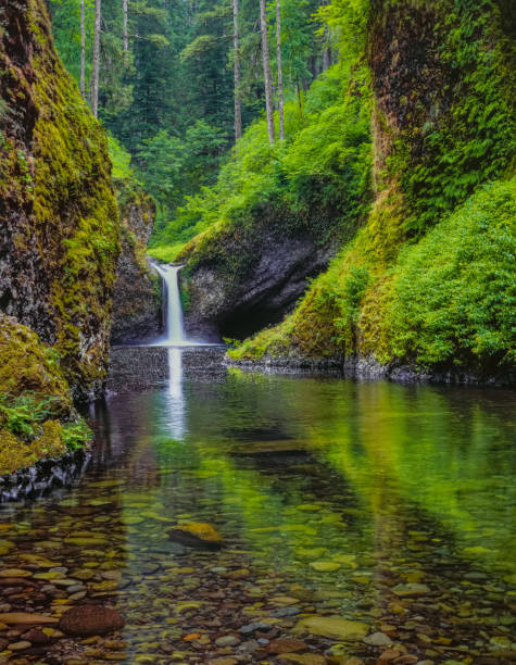 Punchbowl Falls in Columbia River Gorge National Scenic Area,  on Eagle Creek, Oregon refreshing water scene, dramatic waterfall,  Historic Columbia River Highway, West Gorge - Oregon, Columbia River Gorge National Scenic Area columbia river gorge stock pictures, royalty-free photos & images