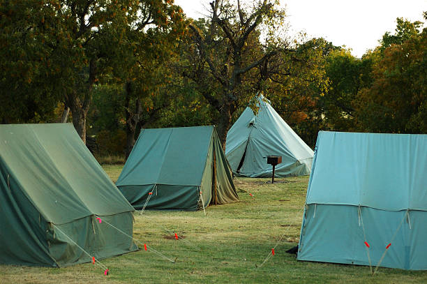 Pup Tents These pup tents are a part of a larger group of tents set up by Boy Scouts. boy scout camping stock pictures, royalty-free photos & images