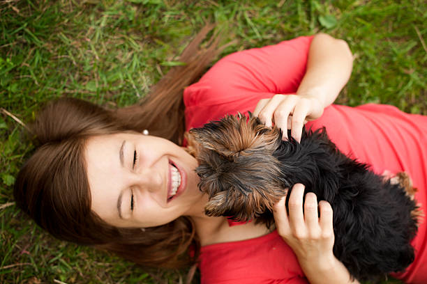 Puppy love Playing with cute puppy beautiful young brunette girl playing with her dog stock pictures, royalty-free photos & images