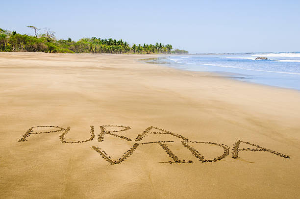 975 Pura Vida Stock Photos, Pictures & Royalty-Free Images ...