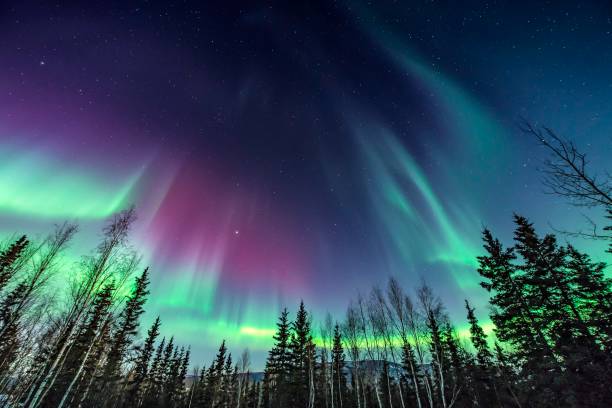 Purple and green Aurora borealis stock photo