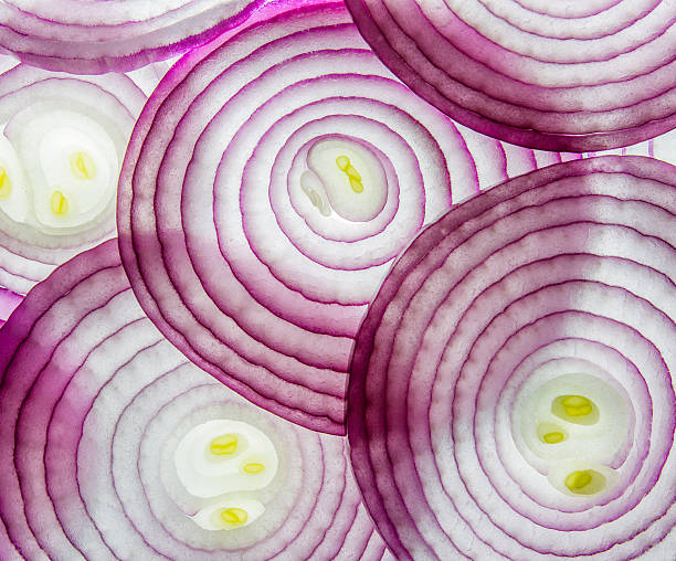 Purple onion stock photo