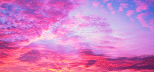 Purple sky stock photo