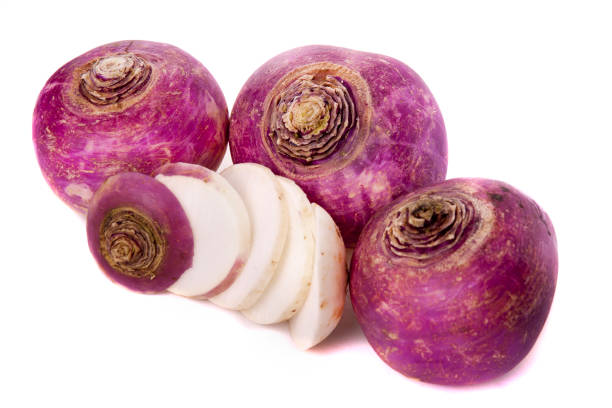 purple turnips isolated stock photo