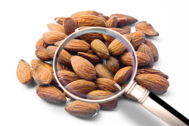 quality control about almonds - haccp (hazard analyses and critical control points) concept image with almonds seen through a magnifying glass. - haccp imagens e fotografias de stock