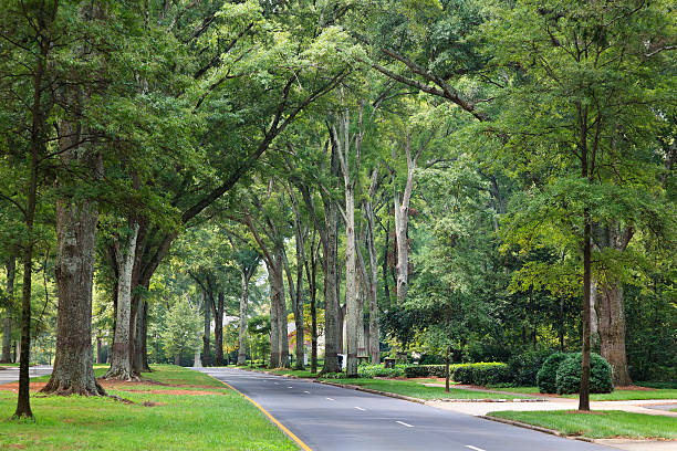 Queens Road West in Charlotte, North Carolina stock photo