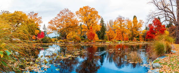 Queenstown autumn color stock photo