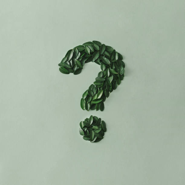Question mark formed of small green leaves on a matching card stock photo