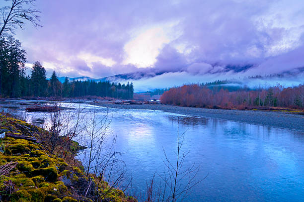 Quinault Valley stock photo