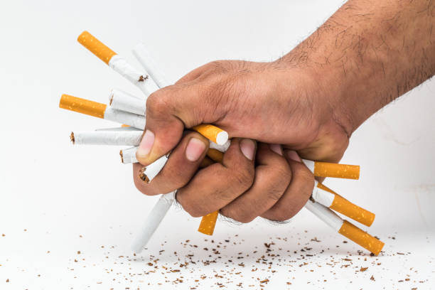 Quit smoking.Close up hand destroying some cigarettes. stock photo