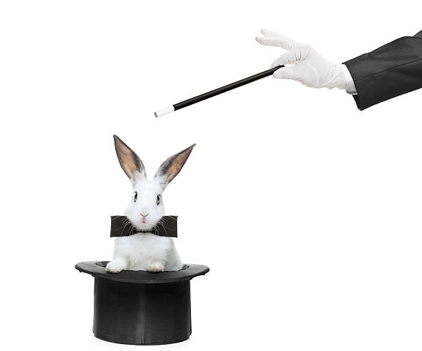 Rabbit and magic wand A rabbit in a hat and hand holding a magic wand isolated on white background magician stock pictures, royalty-free photos & images