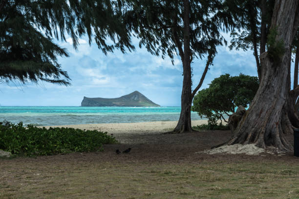 Rabbit Island view from Waimanalo Beach, Oahu, Hawaii stock photo