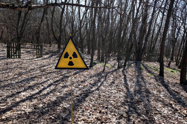 Radiation sign in forrest stock photo