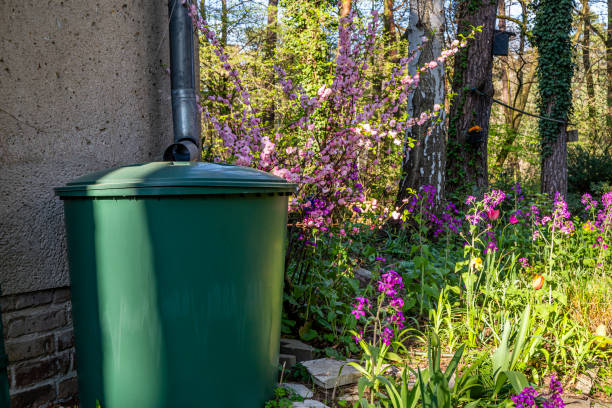 rain barrel with flowers in a garden in spring stock photo