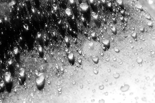 Marbled rain drops