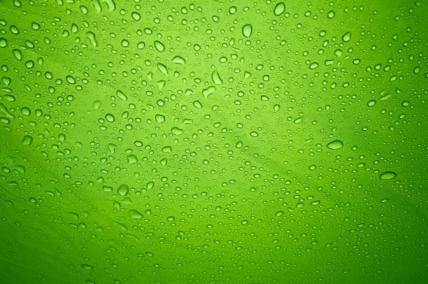 Rain drops on the abstract green background. stock photo
