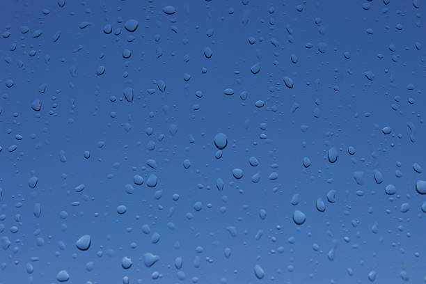 Rain Drops stock photo