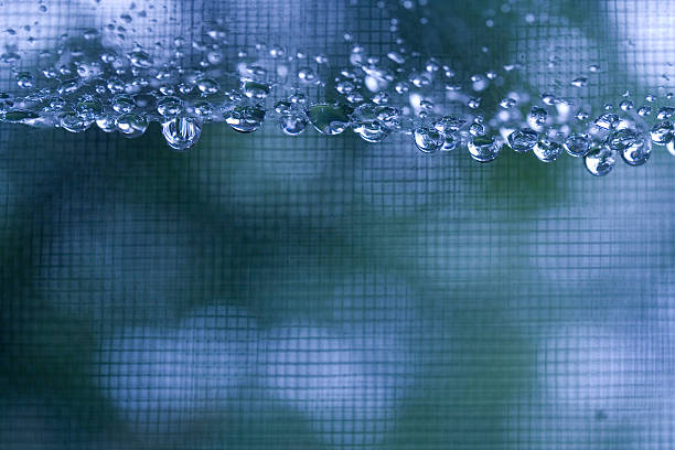 Rain stock photo