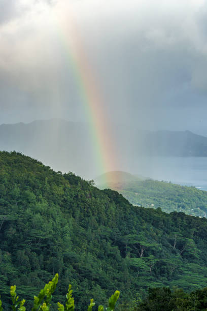 Rainbow And Rain Over The Jungle Mountains Of Mahe Seychelles 7 Stock Photo