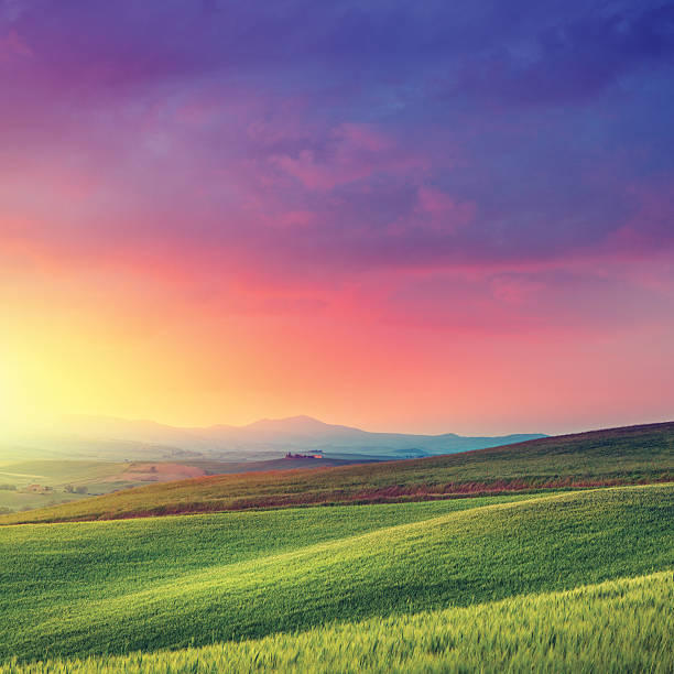 Rainbow dawn in Tuscany Dawn above the Tuscan hills and wheat-fields. Really vivid colors for the mood :)  tuscany photos stock pictures, royalty-free photos & images
