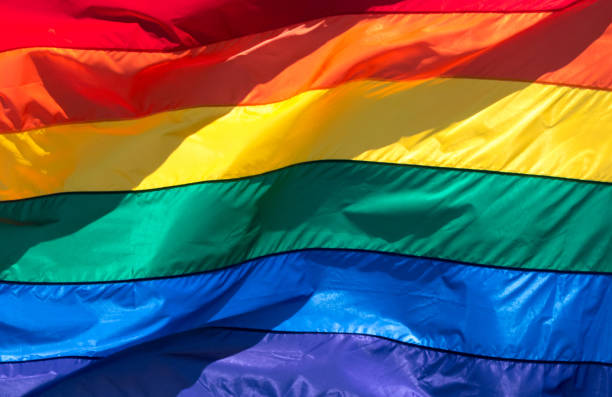 bandeira arco-íris (quadro completo) - homofobia - fotografias e filmes do acervo