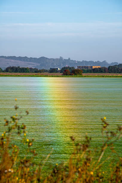 Rainbow in a Field stock photo