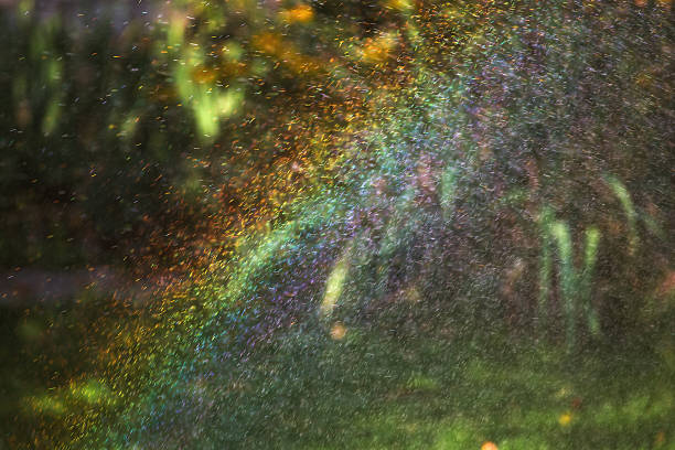 Rainbow in lawn sprinkler drops in garden stock photo