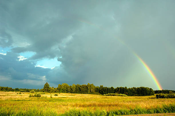 rainbow in the field stock photo