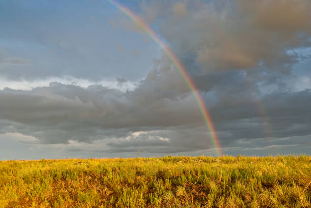 Rainbow Over a Meadow The monsoon season in Northern Arizona comes with some dramatic scenery. The rainbow was photographed in the meadows above Mormon Lake south of Flagstaff, Arizona, USA. jeff goulden rainbow stock pictures, royalty-free photos & images