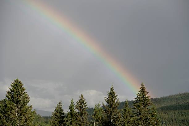 Rainbow stock photo
