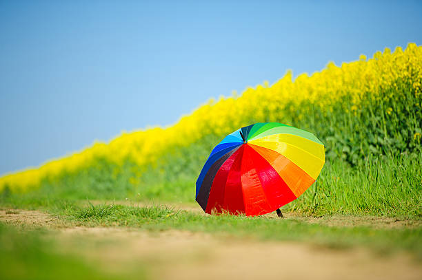 Rainbow umbrella stock photo