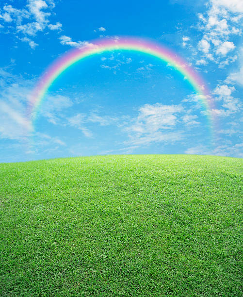 Rainbow with green grass field over blue sky, nature background stock photo