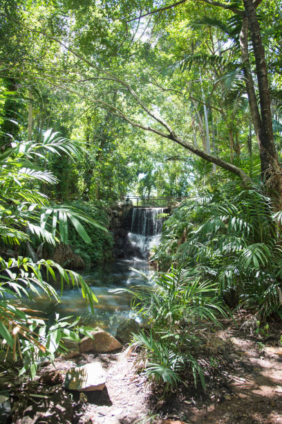 Photo of Rainforest Waterfall