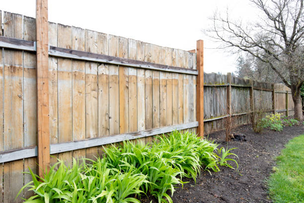 Rainy Fence stock photo