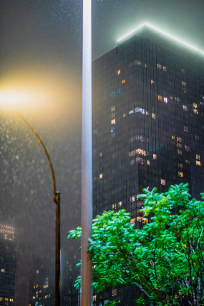 Rainy Night in the City stock photo