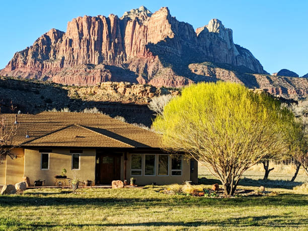 Ranch house and new green leaves of spring on Globe Willow tree in Rockville Utah with Zion National Park in the background stock photo
