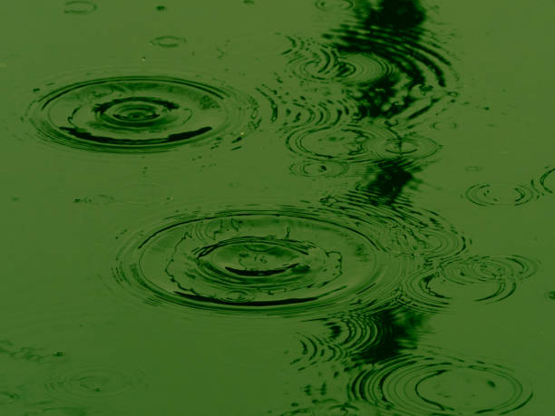 Random Raindrops in green stock photo