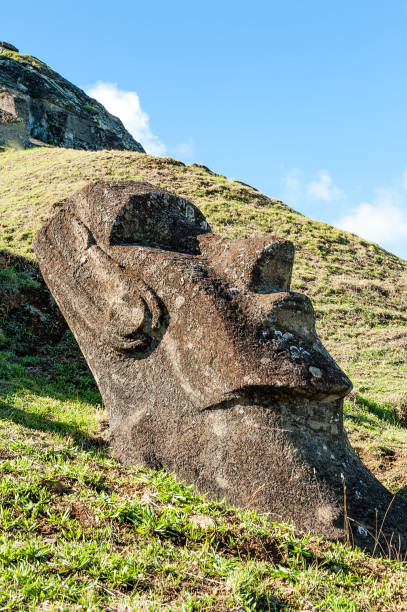Rano Raraku, Easter Island, the quarry of the Moai. stock photo