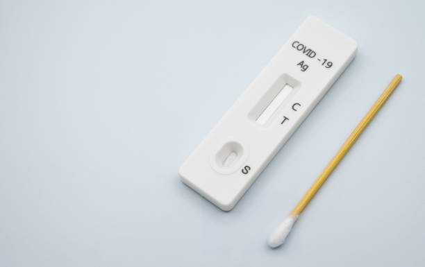A rapid antigen test pad with short cotton swab on white background. stock photo