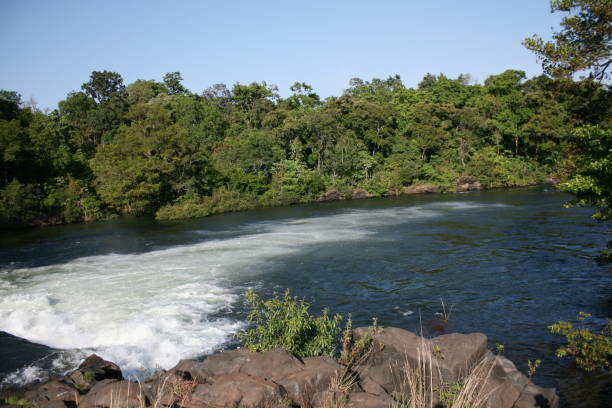 snelle (kleine waterval) aan de rivier de kaali. plaats-dandeli wls (karnataka) - kaali stockfoto's en -beelden