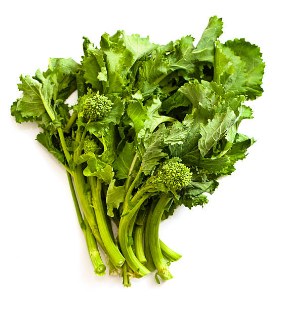 Rapini or Broccoli Raab Broccoli raab, also known as broccolirab, broccoli rabe, broccoli de rape, brocoletto, or rapini. Isolated on white. broccoli rabe stock pictures, royalty-free photos & images