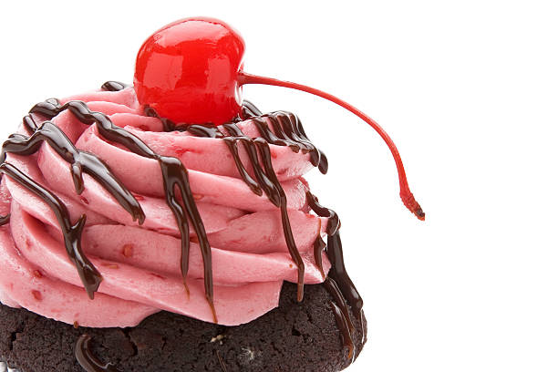 Raspberry Chocolate Cupcake stock photo